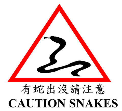 Featured image for “Snake Season: Please Pay Attention for Your Safety”
